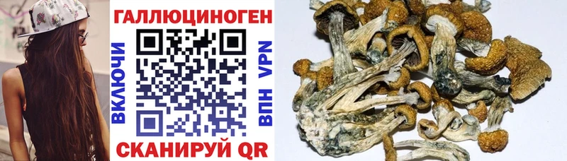 наркошоп Сосенский Галлюциногенные грибы Cubensis