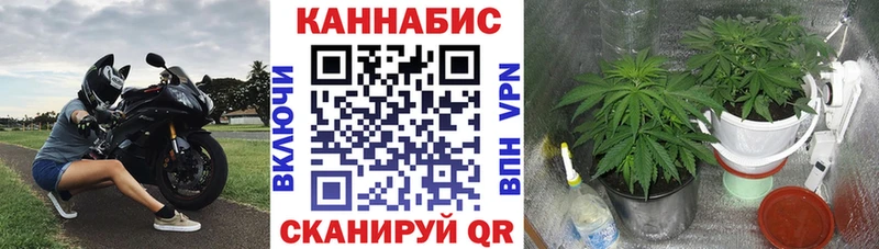 дарнет шоп  Сосенский  Бошки марихуана SATIVA & INDICA 